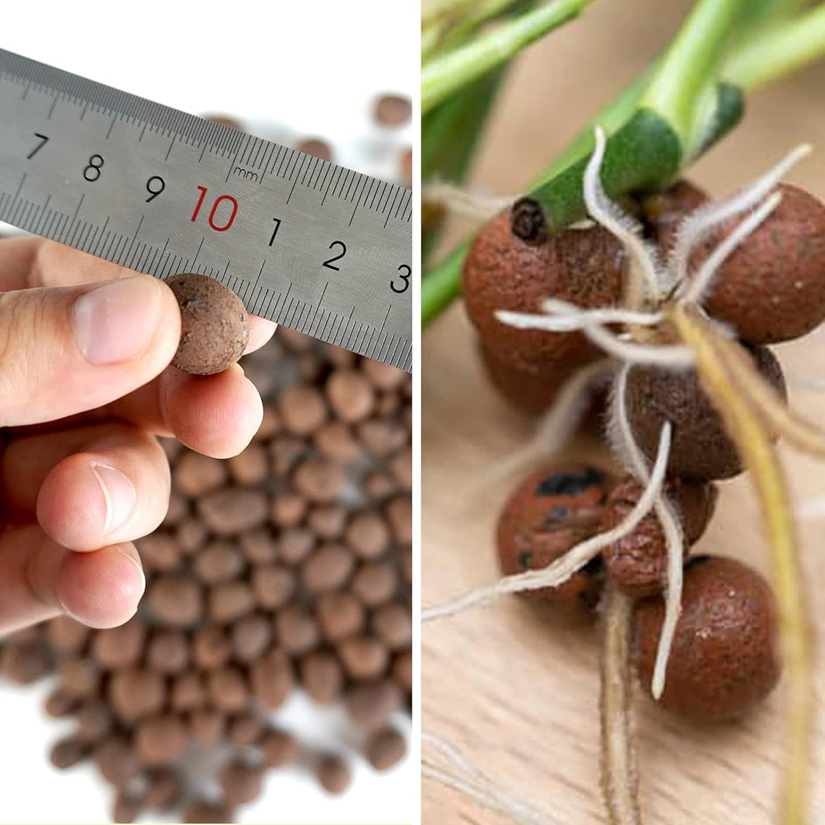 Leca Expanded Clay Pebbles 5LBS Grow Media for Indoor Plants Hydroponic Growing Gardening System