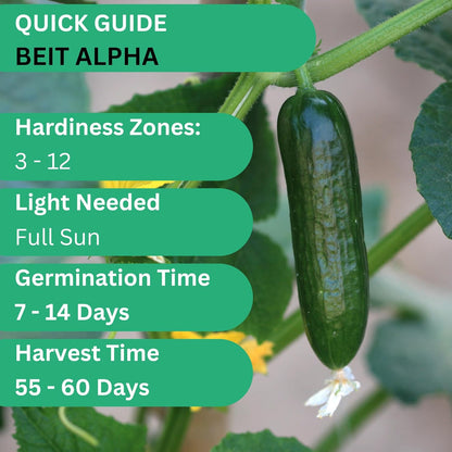 Woods Creek Seeds: Beit Alpha Cucumber Seed CMR/MMR for Planting - Over 90 Heirloom Seed Pack