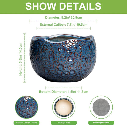 8 Inch Plant Pot - Ceramic Planter for Indoor Outdoor Plants, Round Unique Plant Pots with Drainage