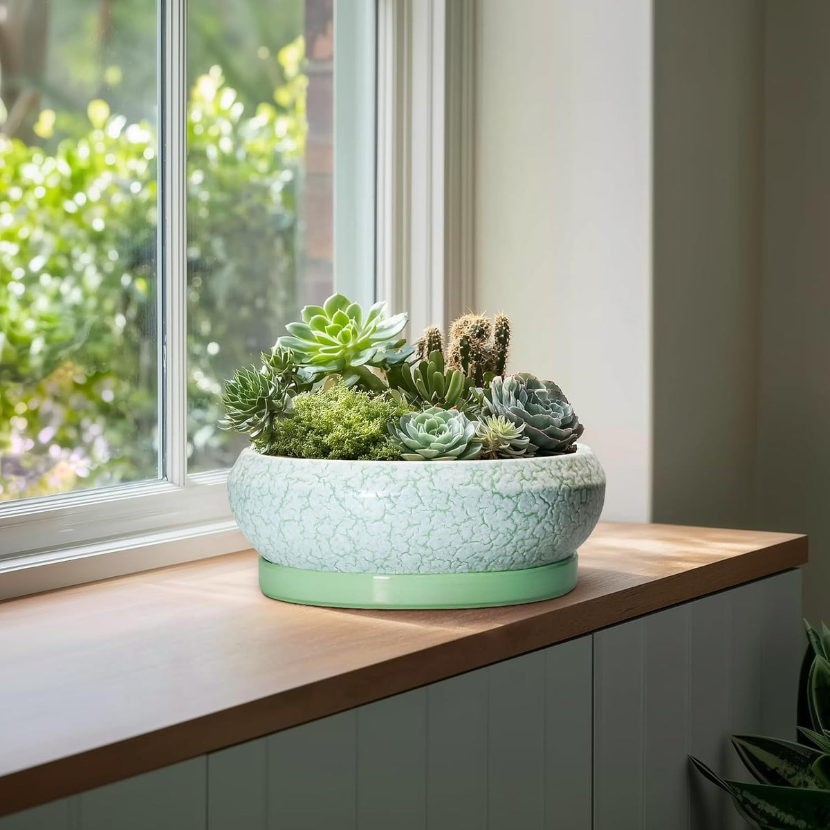 Bonsai Pots - 13 Inch Ceramic Succulent Pots for Indoor Outdoor, Large Shallow Planter with