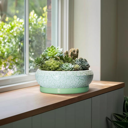 Bonsai Pots - 13 Inch Ceramic Succulent Pots for Indoor Outdoor, Large Shallow Planter with