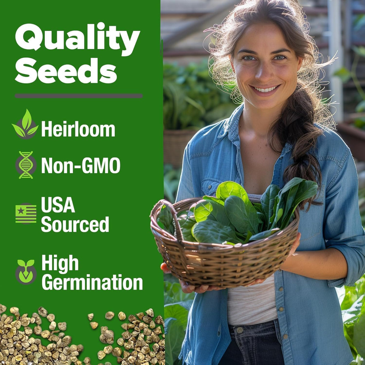 HOME GROWN Bloomsdale Spinach Seeds - 2 Bulk Packs (Spinacia oleracea) – 704 High Germination