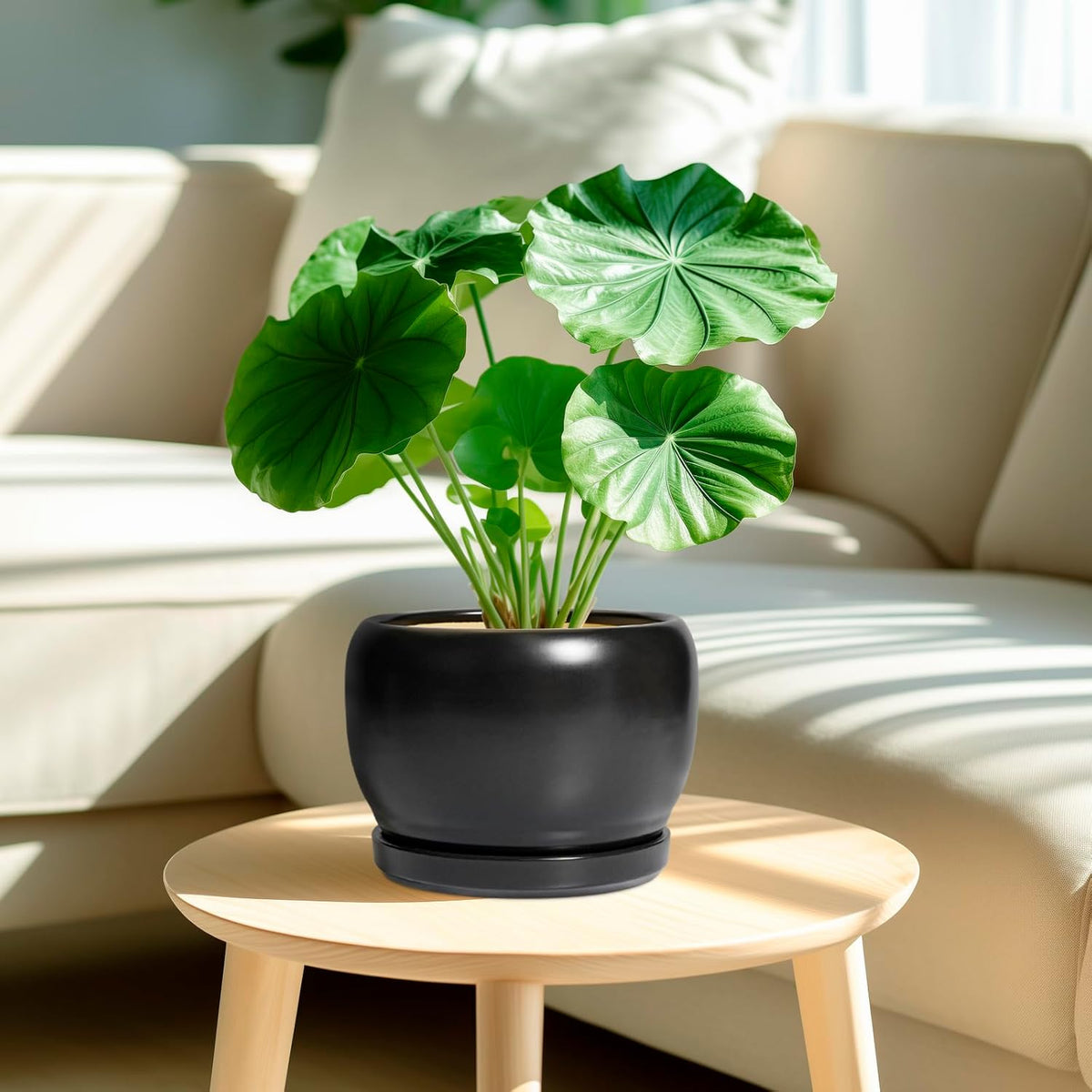 SQOWL Ceramic Plant Pots - 8 Inch Planter Indoor, Round Flower Pot with Drainage Hole and Saucer