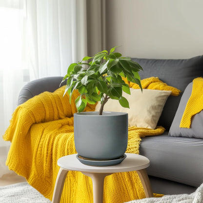Ceramic Planter for Indoor Outdoor Plants - Cylinder Decorative 8 Inch Plant Pot with Drainage Hole