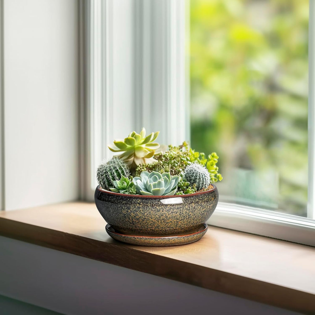 SQOWL Bonsai Pots Small - 6 Inch Ceramic Succulent Pots with Drainage Hole and Saucer, Shallow