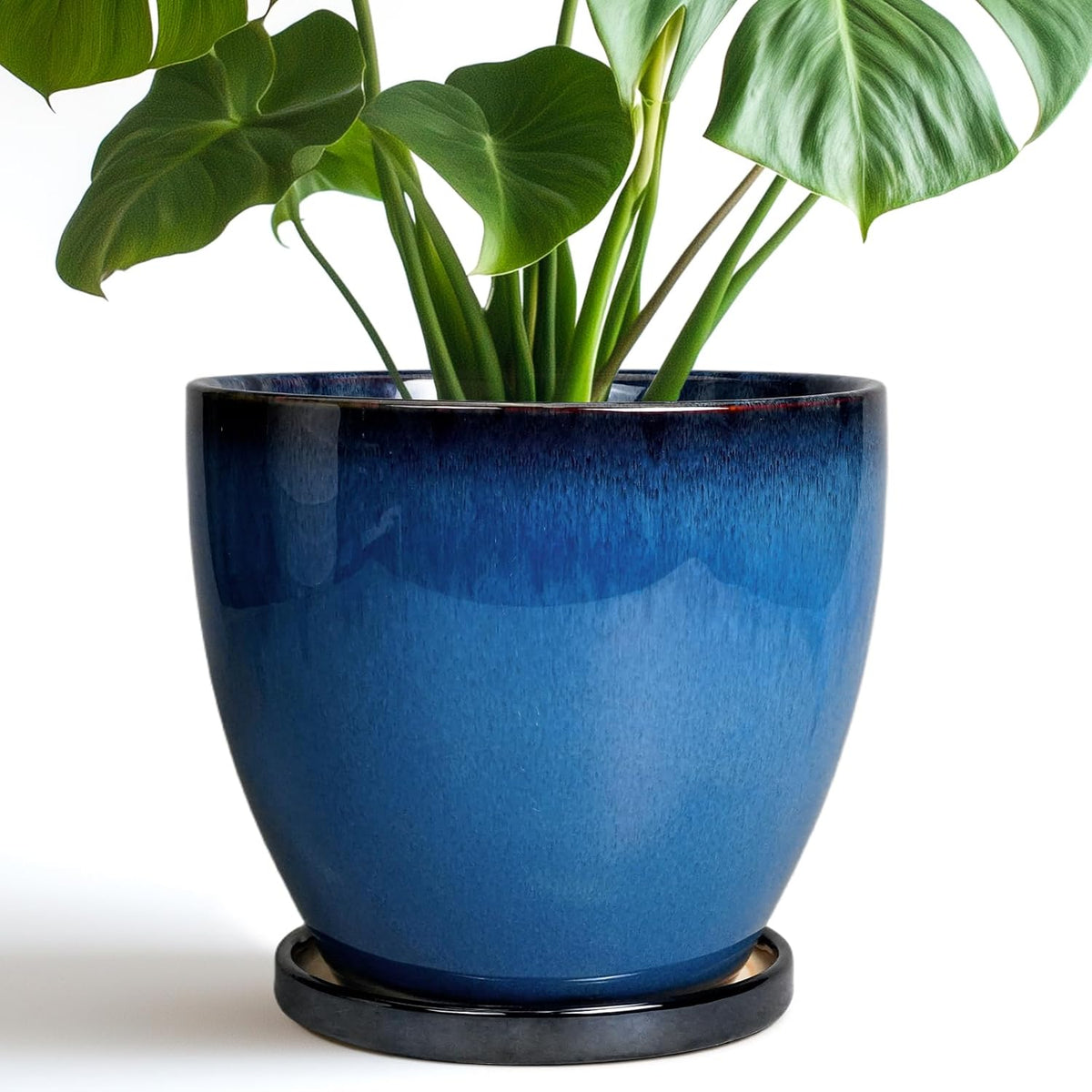 8 Inch Planter - Ceramic Plant Pot with Drainage Hole and Tray Round Planter Modern Flower Pot for