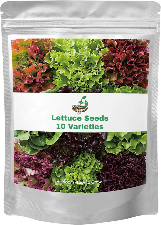 20,000+ Lettuce Seeds, Heirloom Vegetable Seed for Planting Indoor Outdoor, 10 Varieties Fresh