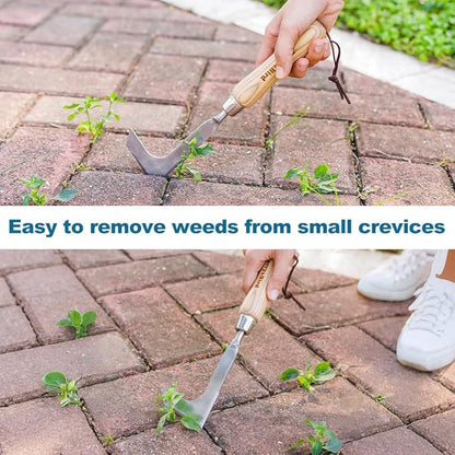 Berry&Bird Crack Weeder, Crevice Weeding Tool, 11.2" Stainless Steel Manual Weeder, L-Shaped