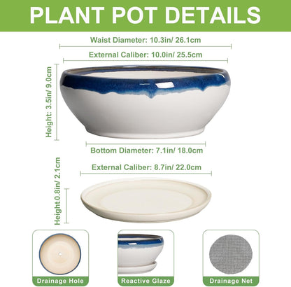 SQOWL Bonsai Pots - 10 Inch Ceramic Pots for Succulents Indoor Outdoor, Shallow Planter with