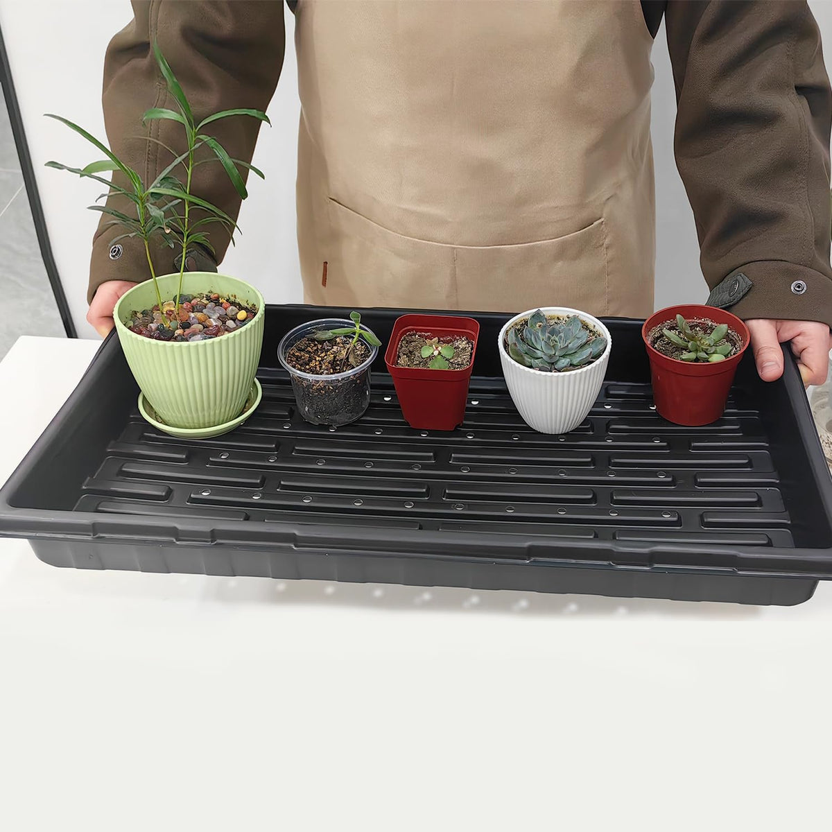 18-Pack 1020 Seedling Trays with Holes - Extra Strength Heavy Duty,10" x 20", Reusable 1020 Nursery