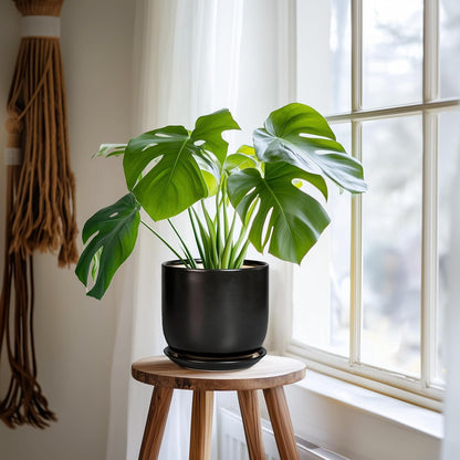 Ceramic Planter 7 Inch - Cylinder Round Modern Indoor Plant Pot for Plants with Drainage Hole and