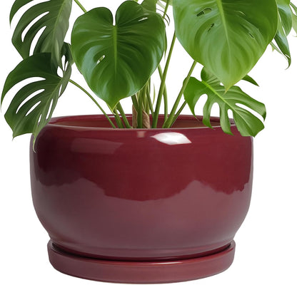 SQOWL Ceramic Pot for Plants - 10 Inch Indoor Planter with Drainage Hole and Saucer, Round Modern