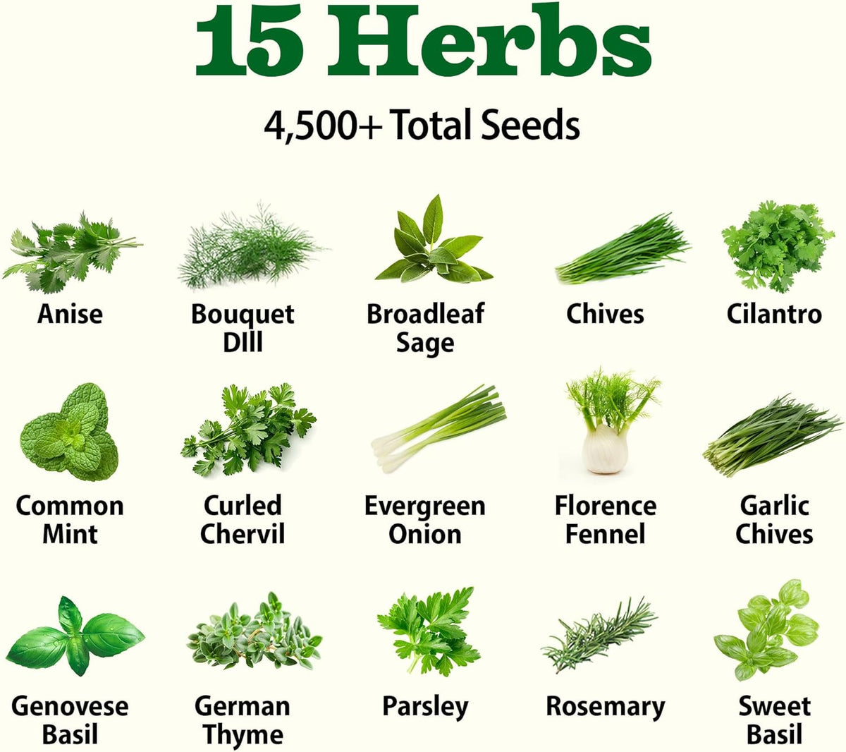 HOME GROWN 70 Variety Vegetable & Herb Seeds – 32,000+ USA Non-GMO Heirloom Survival Seeds –Garden