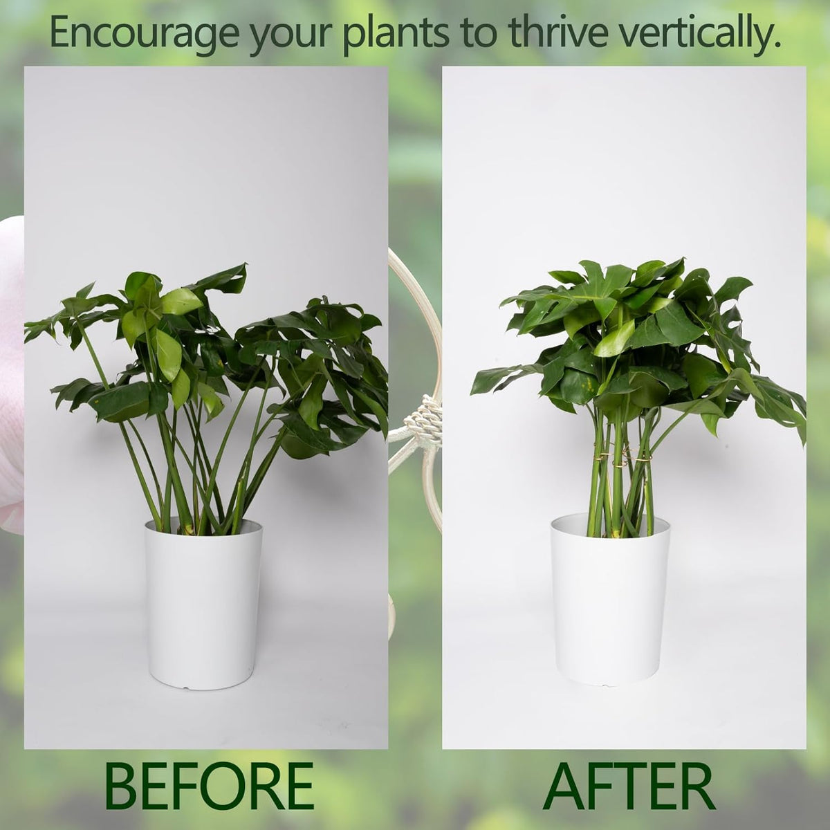 5PCS Monstera Plant Stem Support Stakes - 5.5 * 5.5IN Metal Supports for Monstera and Fishbone