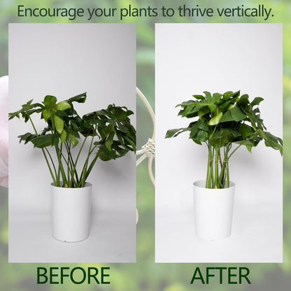 5PCS Monstera Plant Stem Support Stakes - 5.5 * 5.5IN Metal Supports for Monstera and Fishbone