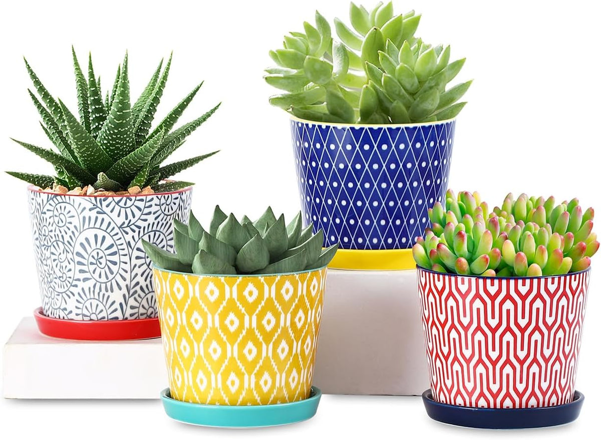Selamica Ceramic Succulent Pots, 4.3 Inch Small Plant Pots with Drainage Holes and Saucers, Small