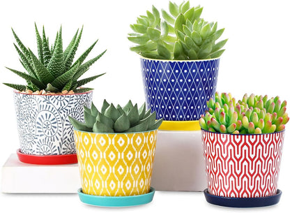 Selamica Ceramic Succulent Pots, 4.3 Inch Small Plant Pots with Drainage Holes and Saucers, Small