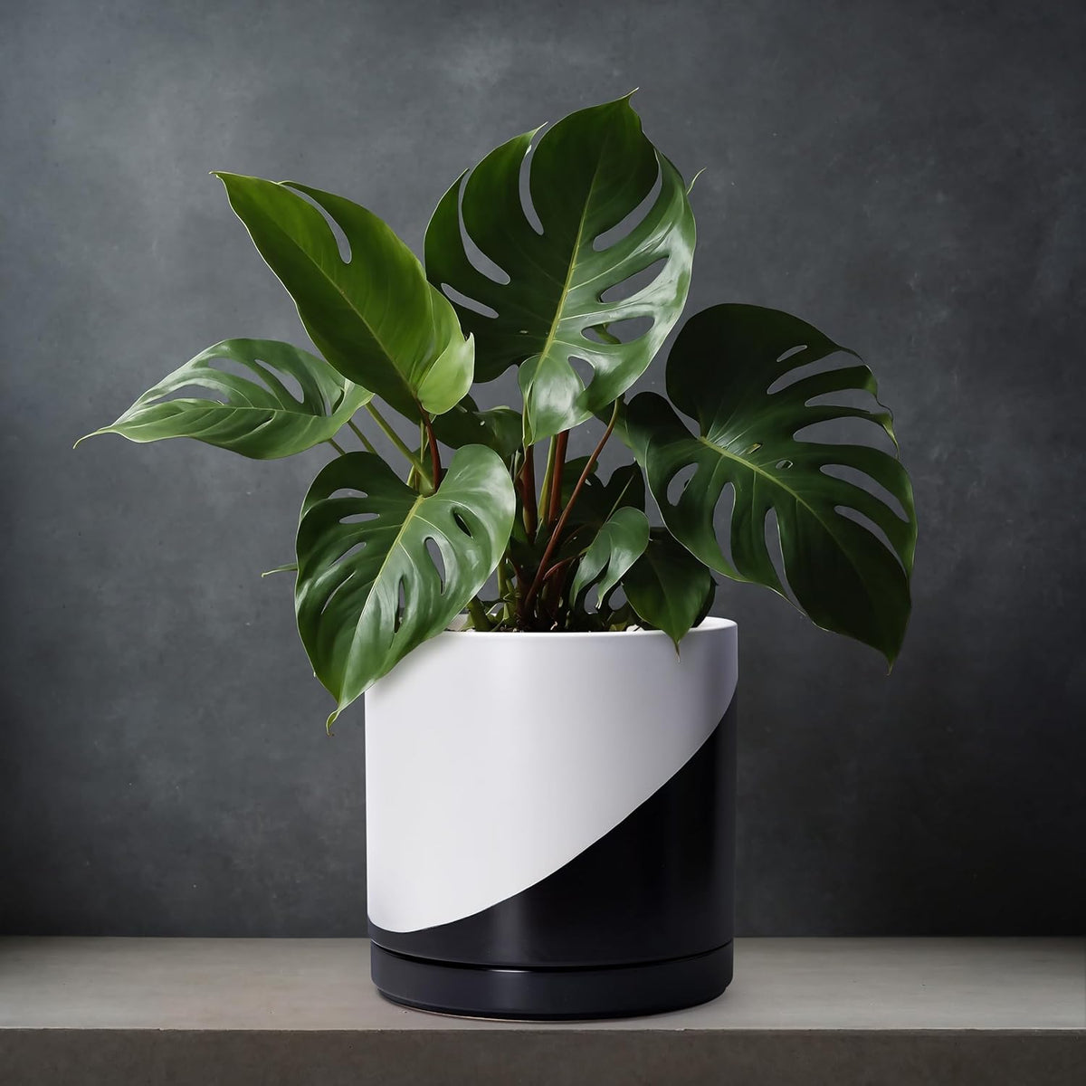 D'vine Dev 12 Inch Ceramic Planter Pot with Drainage Hole and Saucer, Indoor Cylinder Round Planter