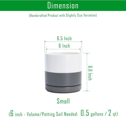 D'vine Dev Set of 2 Plants Pots, 6.5 Inch Ceramic Planter Pot for Plants with Drainage Hole and