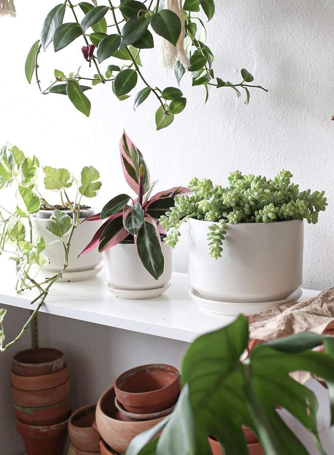 LE TAUCI Ceramic Pots for Plants, 6.8 Inch Plant Pots with Drainage Hole & Saucer, Modern Planter