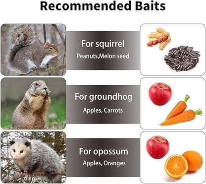 Squirrel Trap,Humane Catch and Release,Can Catch Multiple Squirrels or Chipmunks at Once