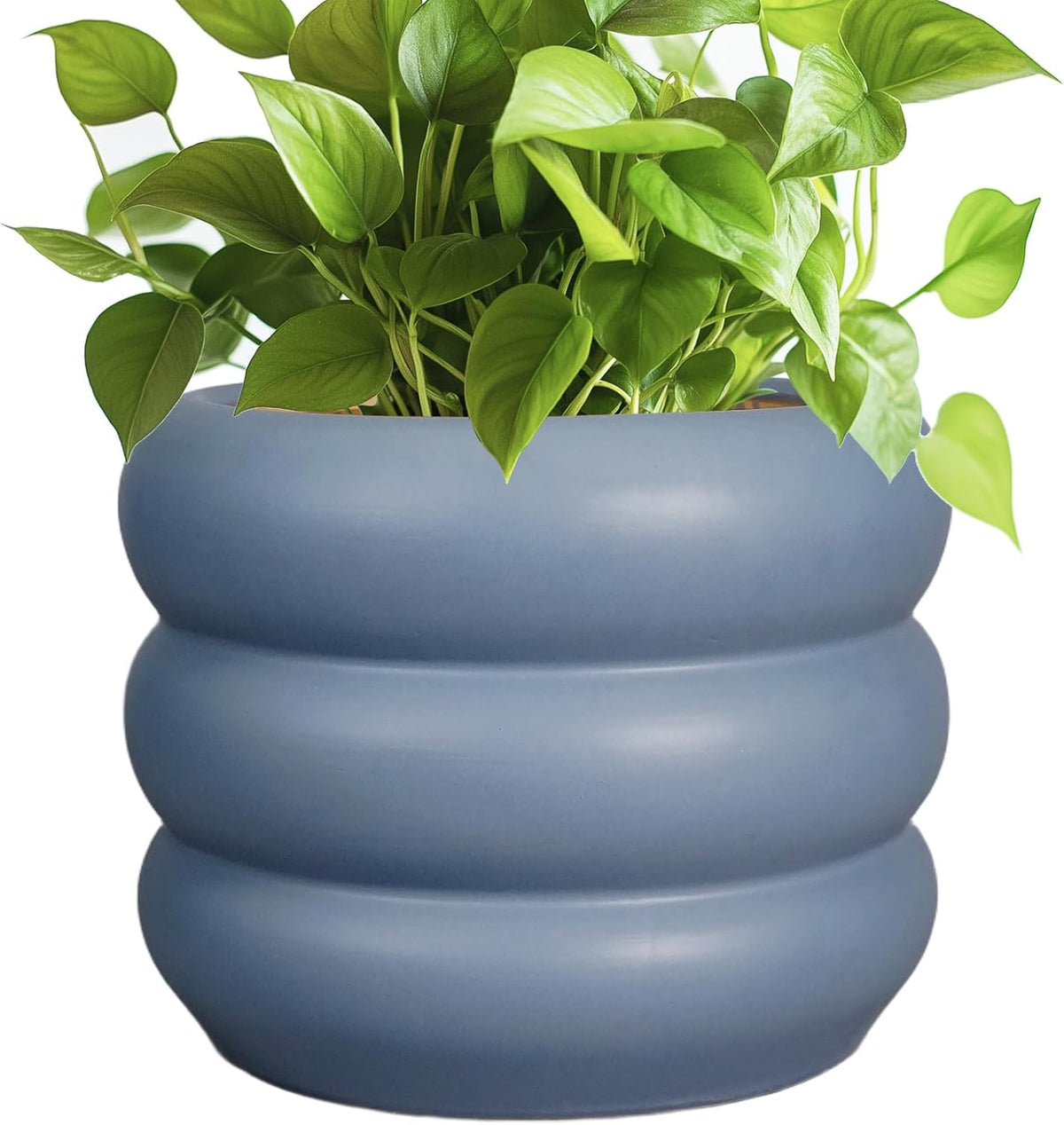 SQOWL Ceramic Pot for Plants - 8 Inch Plant Pot with Drainage Hole Planter for Indoor Plants