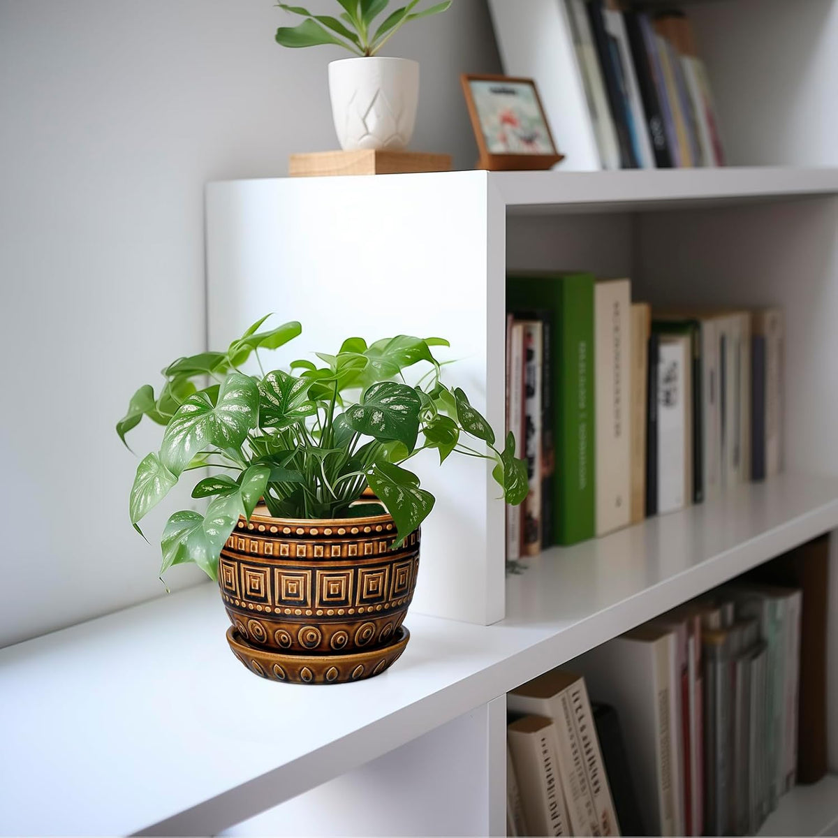 G EPGardening Succulent Pot 5.5 Inch - Ceramic Plant Pot for Indoor Plants Outdoor, Round Boho
