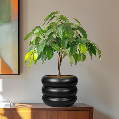 SQOWL Ceramic Pot for Plants 8 Inch - Indoor Plant Pot with Drainage Hole Planter for Outdoor