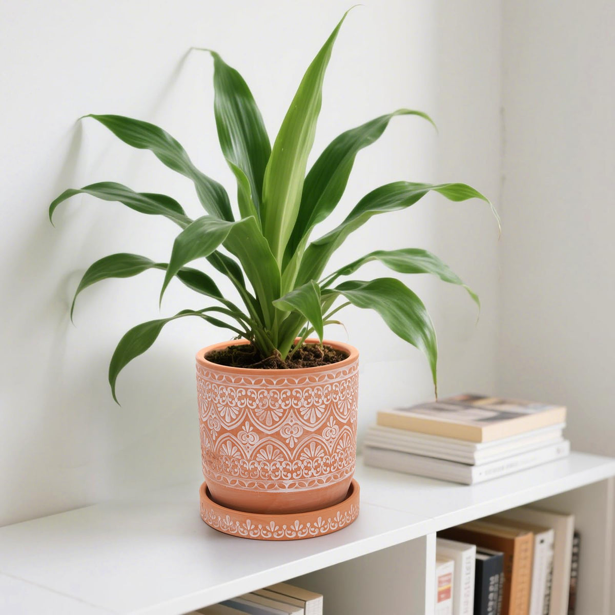 Suwimut Set of 2 Terracotta Plant Pots 4 Inch 6 Inch, Small Medium Clay Planter Pot, Ceramic Cactus