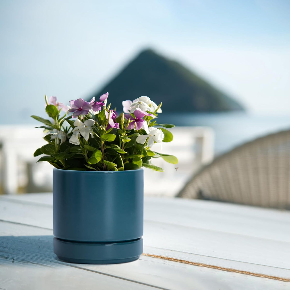 D'vine Dev Set of 2 Plants Pots, 4.7 Inch Ceramic Planter Pot for Plants with Drainage Hole and