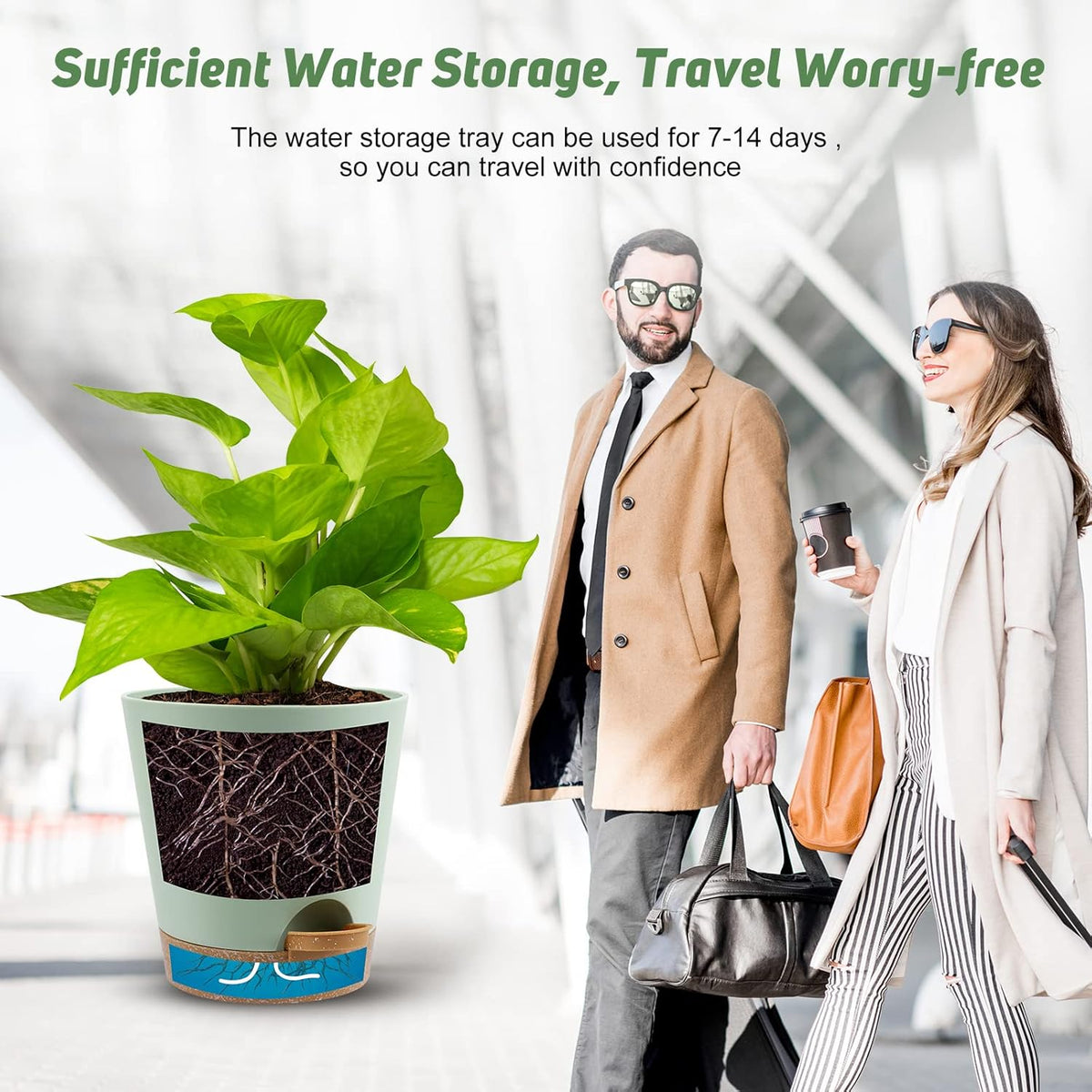 Indoor Self Watering Planters with Drainage Holes and Saucers, 8, 7, 6.5, 6, 5.5, 5 Inches, Green