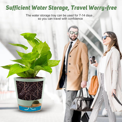 Indoor Self Watering Planters with Drainage Holes and Saucers, 8, 7, 6.5, 6, 5.5, 5 Inches, Green