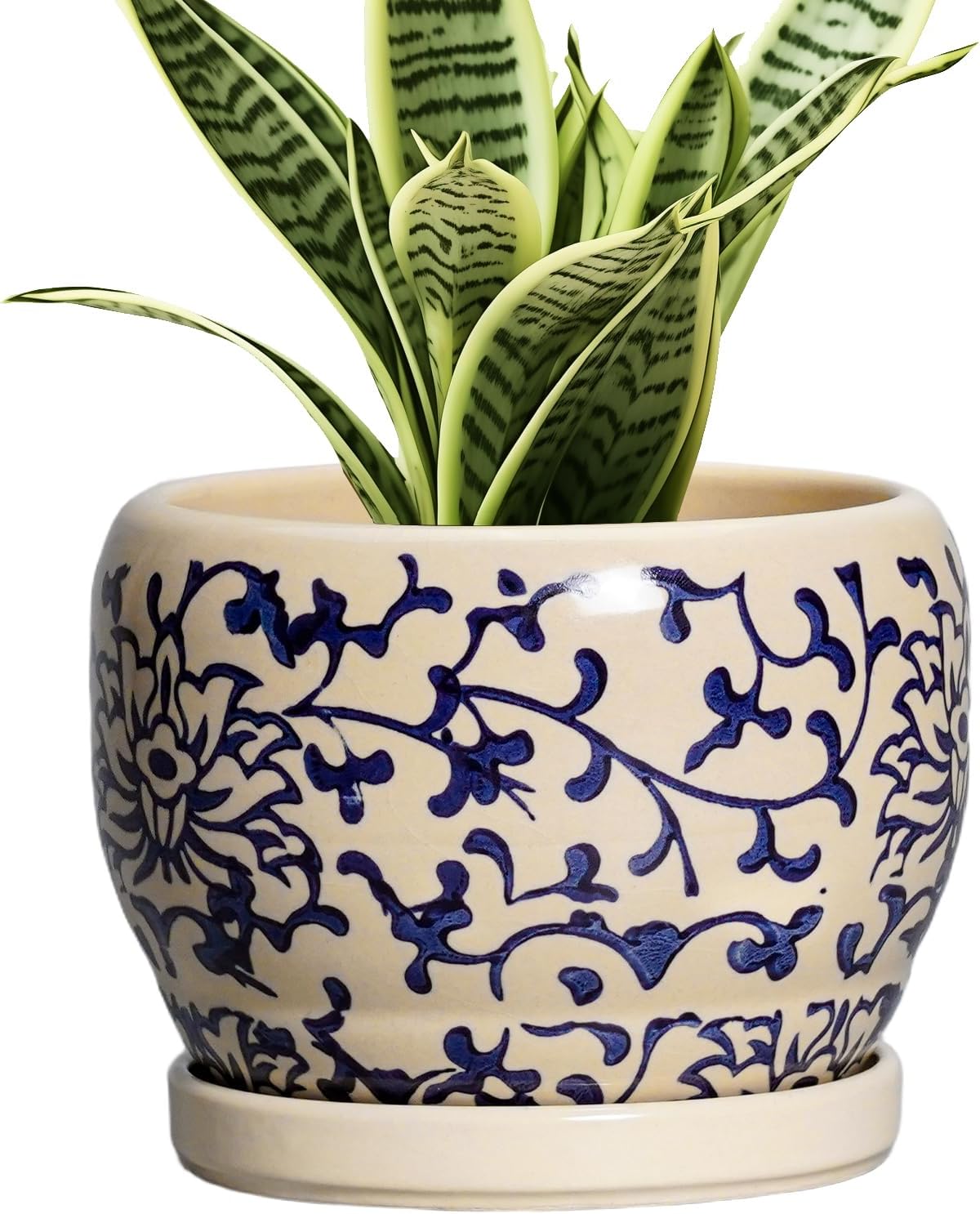 SQOWL Ceramic Flower Pots - 6 Inch Plant Pot Indoor with Drainage Hole and Saucer, Porcelain