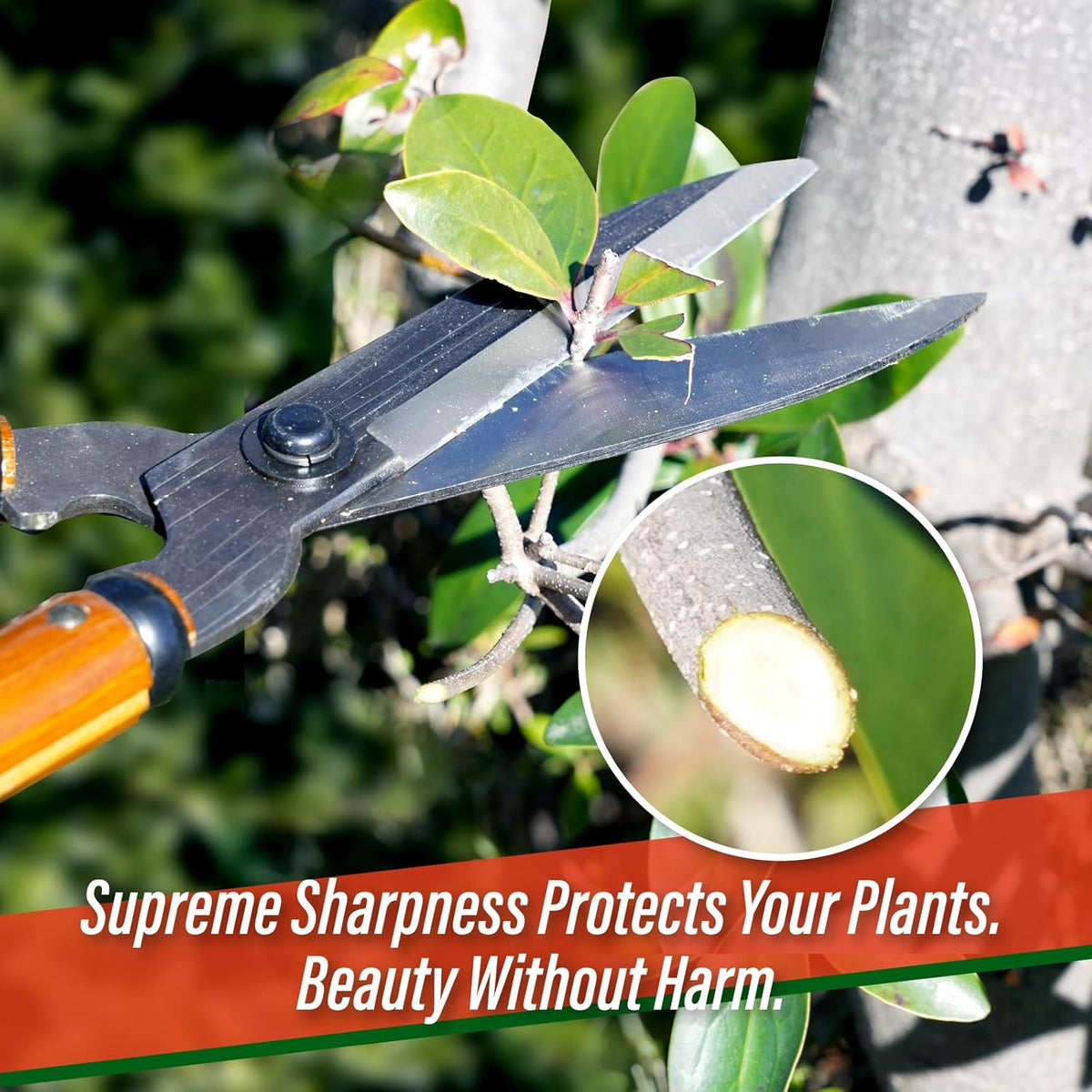SUIZAN Hedge Shears 21.3" - Professional Japanese Garden Clippers for Precise Trimming Gardening