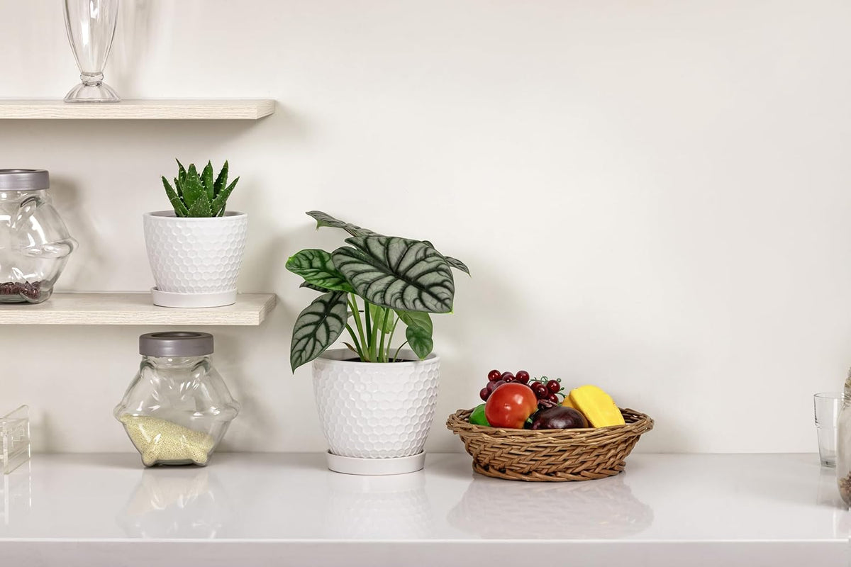 Docrin Ceramic Plant Pots Indoor, 6.6 + 5.5 Inch Flower Pots with Drainage Holes and Saucer for