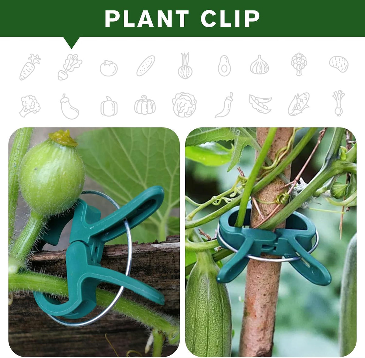 Plant Clips for Climbing Plants, Tomato Clips and Garden Clips for Vine Support, Plant Support