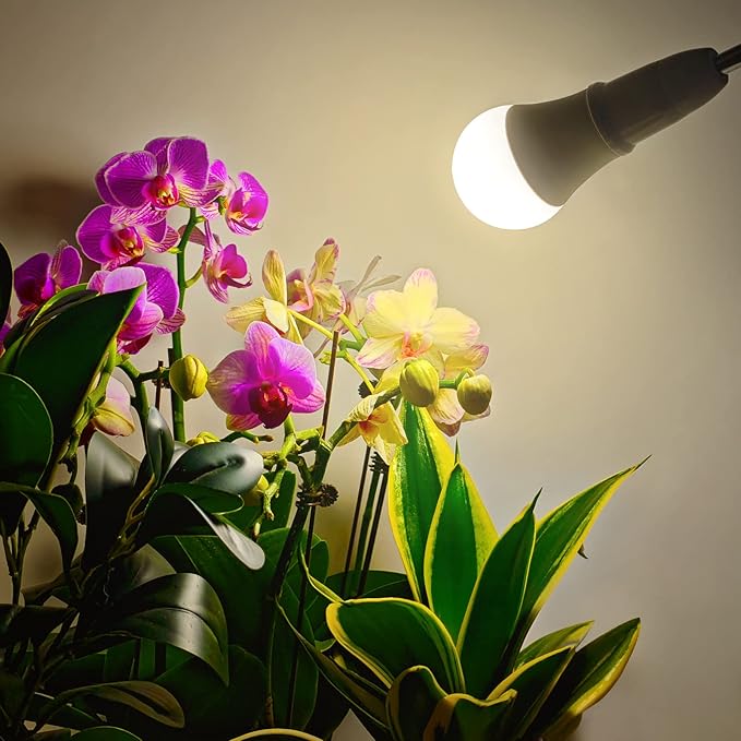LED Grow Light Bulb A19 - Full Spectrum E26 Base, 11W (100W Equivalent) for Indoor Plants, Flowers