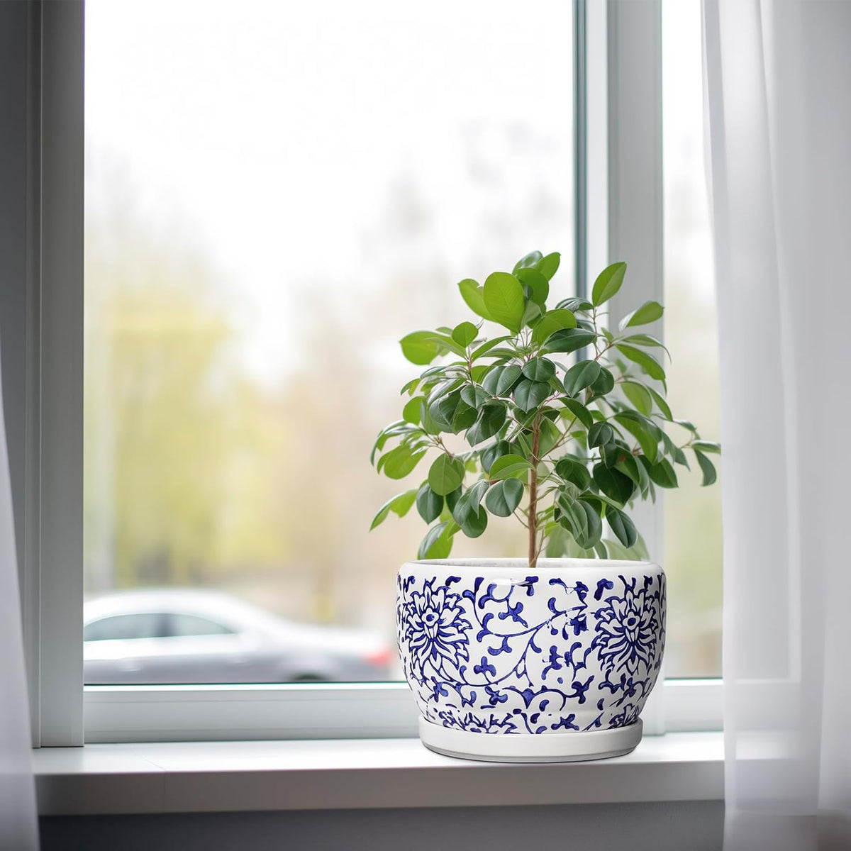 SQOWL Ceramic Pots for Plants - 8 inch Ceramic Planter with Drainage Hole and Saucer, Round Flower