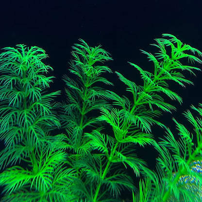 Artificial Aquarium Plants Plastic, Fake Plants for Aquarium Fish Tank, Realistic Plant 10PCS