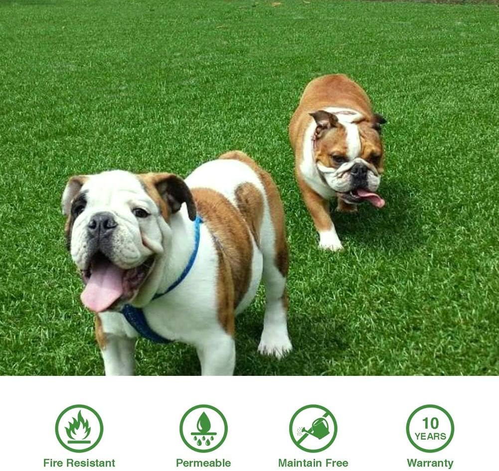 Artificial Grass Turf 6FTX41FT, 1.38" Pile Height Realistic Synthetic Grass, Indoor Outdoor Pet
