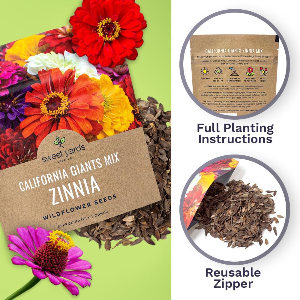 Zinnia Seeds - California Giants Mix - Large 1 Ounce Packet - 3,000 Flower Seeds - Mixed Colors and