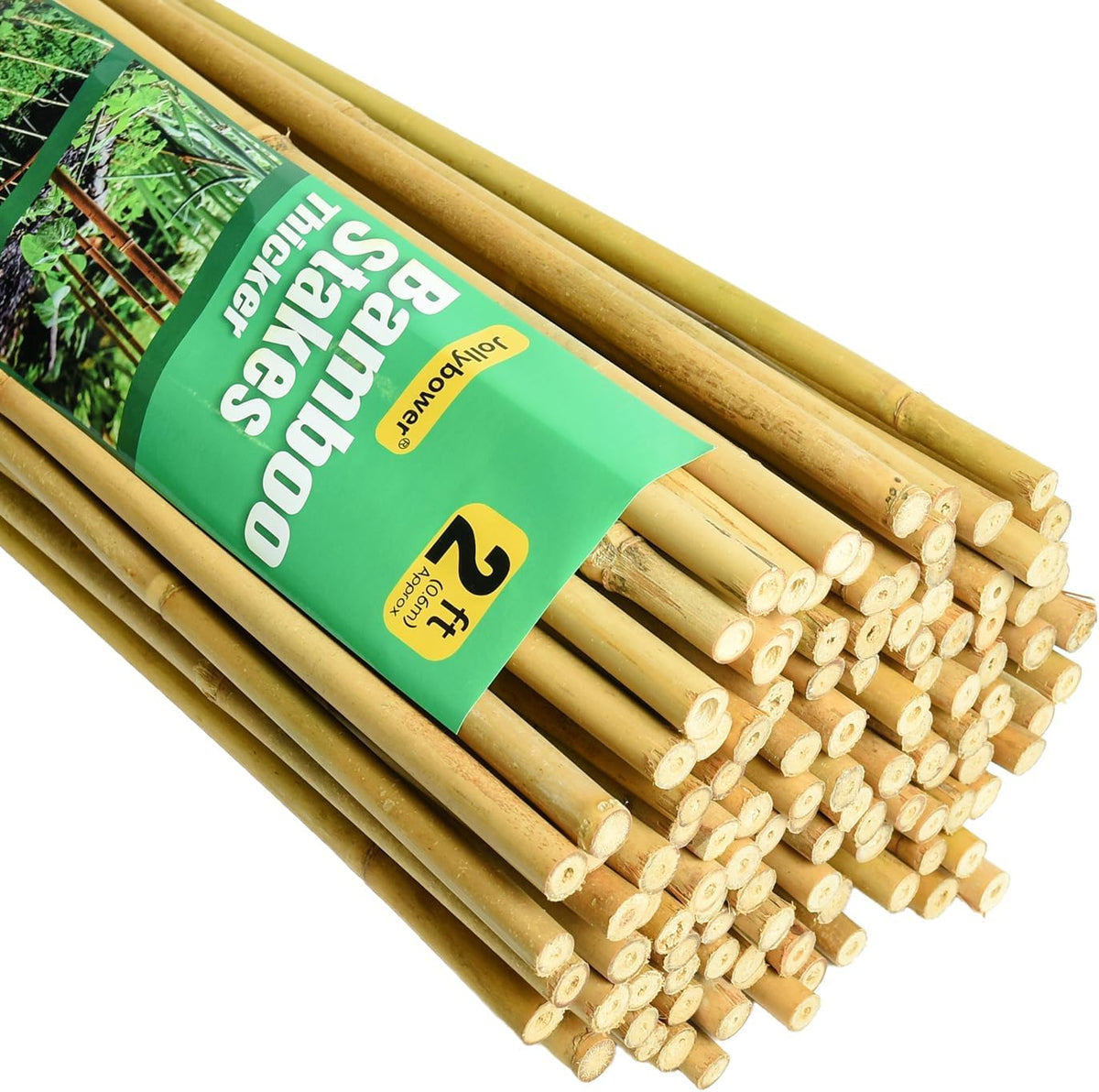 3/10" D 2 Feet Bamboo Stakes 50 Pack, Thicker Heavy-Duty Plant Stakes, Natural Garden Stakes for