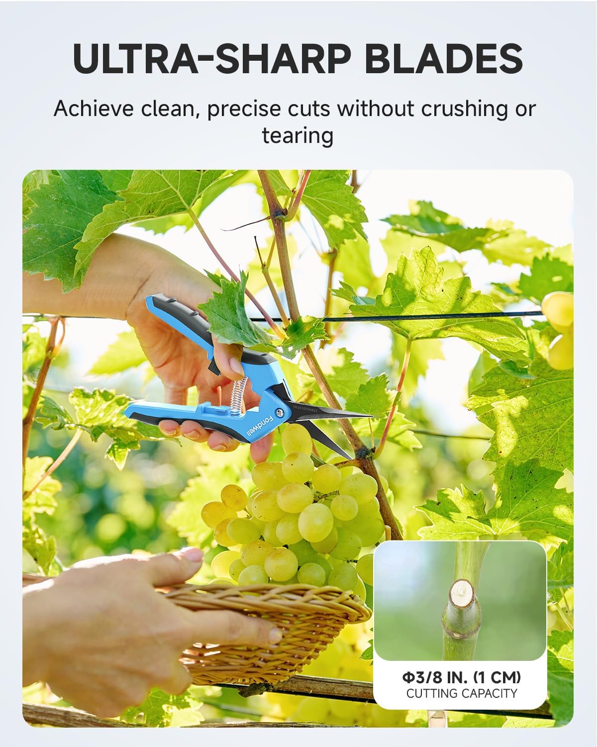 Fondwell 6.5" Pruning Shears Garden Scissors: 2 Pack of Ultra Sharp Trimming Scissors with