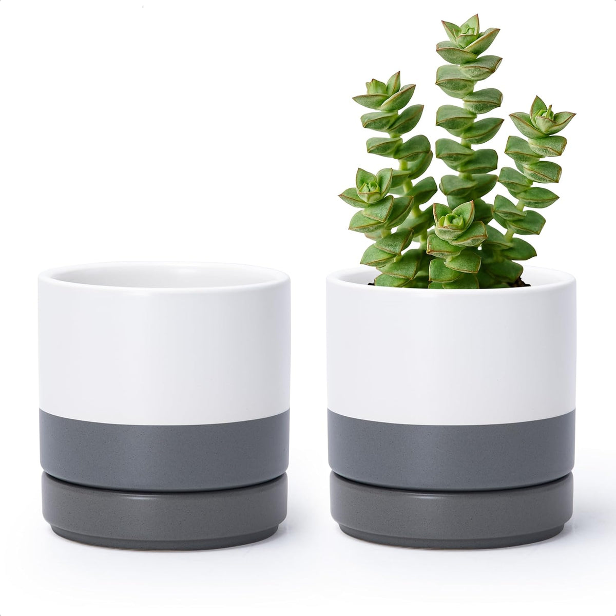 D'vine Dev Set of 2 Plants Pots, 4.7 Inch Ceramic Planter Pot for Plants with Drainage Hole and