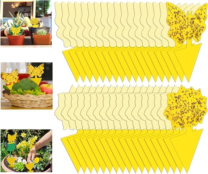 54 Pack Fruit Fly Trap for Indoor, Gnat Traps for House Indoor, Fungus Gnat Killer Sticky Traps for