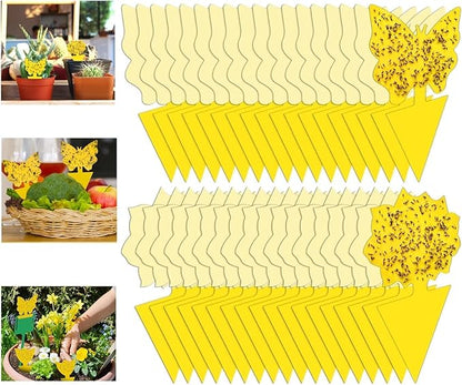 54 Pack Fruit Fly Trap for Indoor, Gnat Traps for House Indoor, Fungus Gnat Killer Sticky Traps for