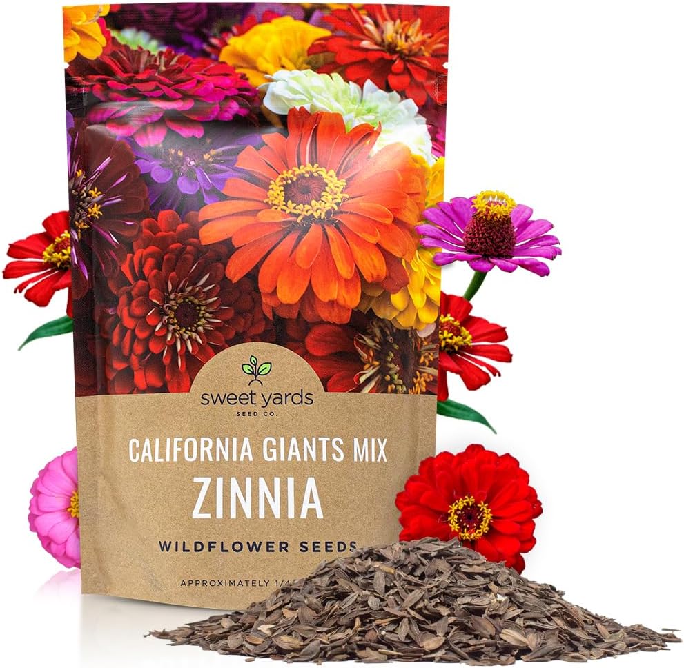 Bulk Zinnia Seeds - California Giants Mix - Bulk 1/4 Pound Bag Over 12,000 Flower Seeds - Mixed