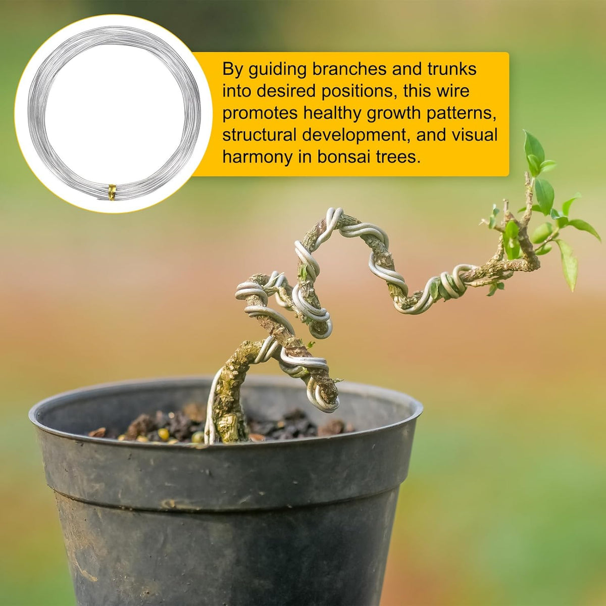 1.5mm Bonsai Training Wire, 16.4 Feet Total Anodized Aluminum Bonsai Wires for Bonsai Tree