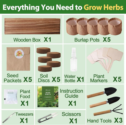 5 Herb Garden Planter Indoor with Wooden Box, Home Kitchen Seed Starter Kit Including Dill