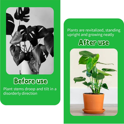 16pcs Climbing Houseplant Stem Supports,Plant Stems Supports for Indoor Plants with 4